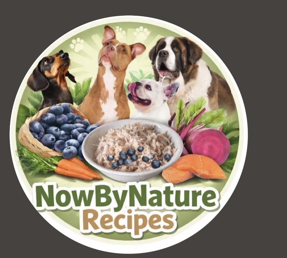 NowByNature logo